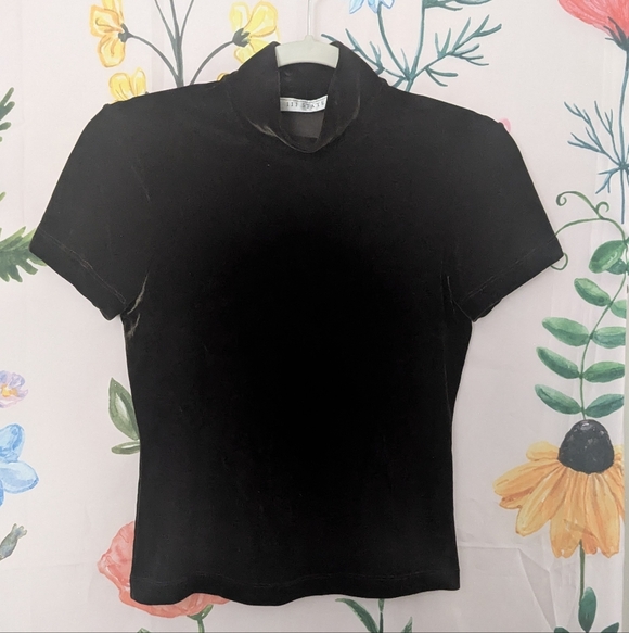 111 State Tops - 111 State Brown Velvet Crop Top